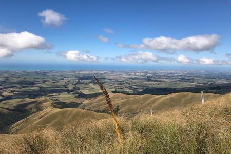 Mount Studholme and Mount Cecil