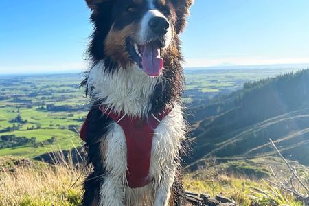 Muhunoa Loop Lung Buster 