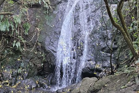 Omahu Anne's Falls & Gibraltar Loop