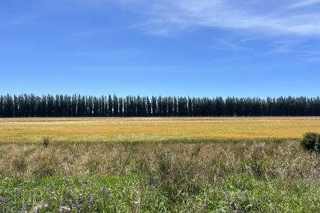 On the Straight and Narrow