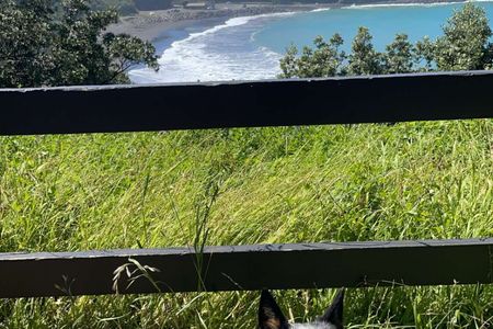Opunake Loop trail