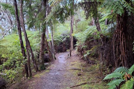 Paihia - Russell Loop
