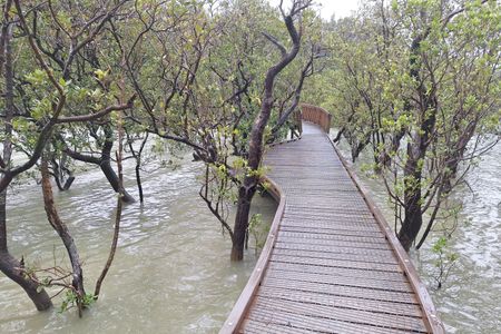 Paihia - Russell Loop