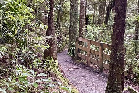 Parihaka Double Bounce