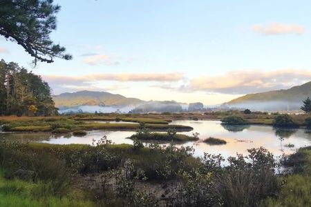 Pauanui Trail - Stage 1 