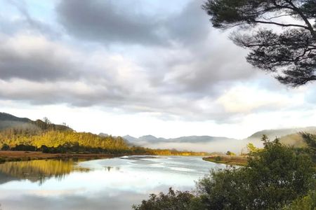 Pauanui Trail - Stage 1 
