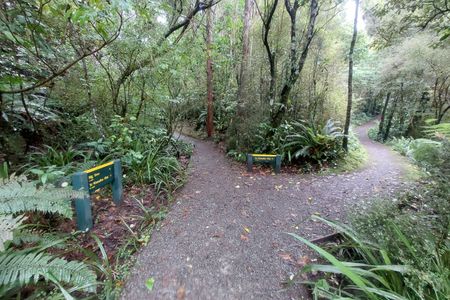 Peel Forest Rounds