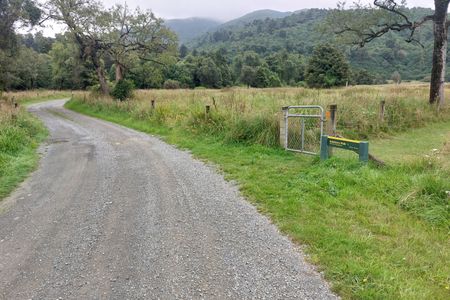 Peel Forest Rounds