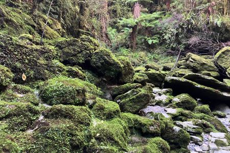 Porarari to Cave Creek