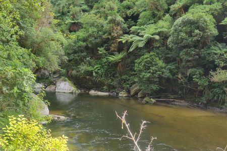 Punakaiki-Pororari loop