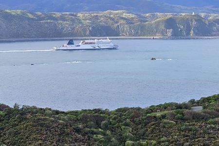 Rangitatau Plane Spotting