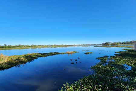 Rockhampton Botanic Gardens Loop