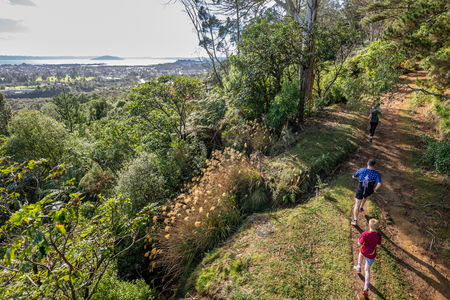 Pohaturoa Trig 5km Loop