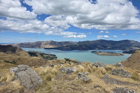 Sign Of The Takahe - Rapaki