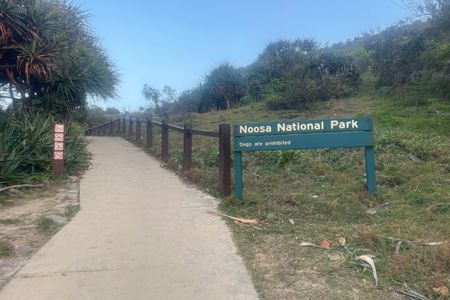 Surf Clubs - Hell's Gate Triangle