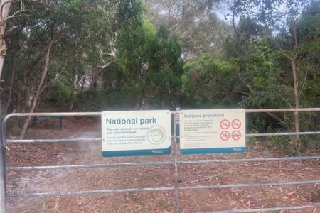 Surf Clubs - Hell's Gate Triangle