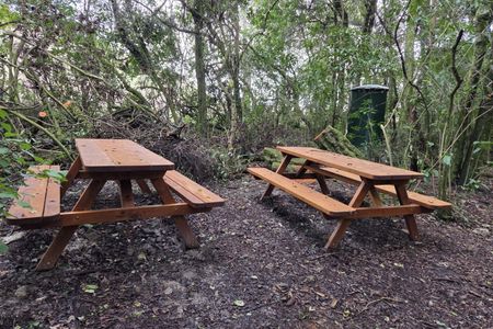 Sutherland's Puriri Bush