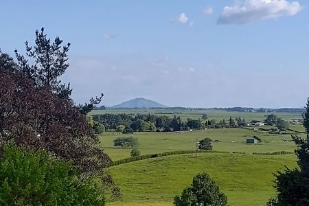 Taitua Arboretum via Till’s Lookout