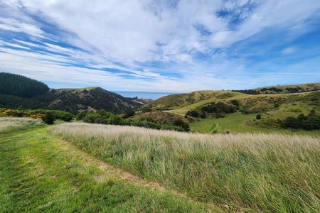 Te Ara Tawhai Tiromoana Bush trail loop