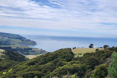 Te Ara Tawhai Tiromoana Bush trail loop