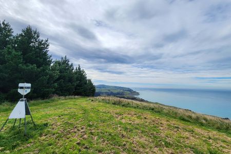 Te Ara Tawhai Tiromoana Bush trail loop