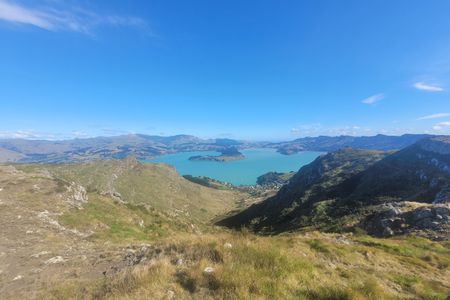 Te Moenga-o-Wheke / The Tors