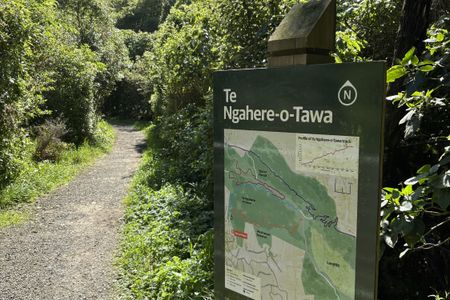 Te Ngahere-o-Tawa Loop