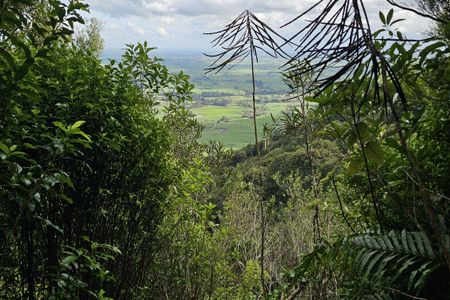 Te Whare Okioki & Mangamuka Huts Loop