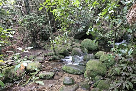Te Whare Okioki & Mangamuka Huts Loop