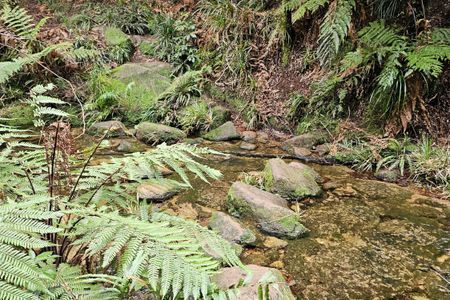 Te Whare Okioki & Mangamuka Huts Loop