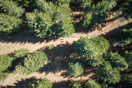 Race Tekapo 16km Trail Run/Walk