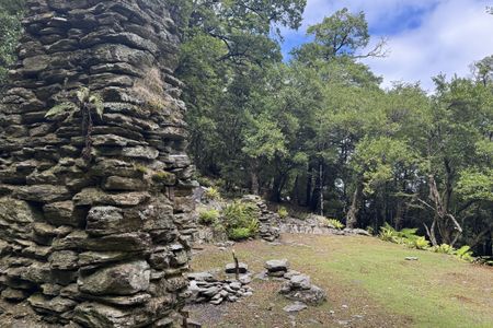 The golden Waikakaho trail