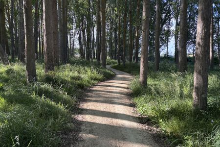 To the Puketapu Pub!
