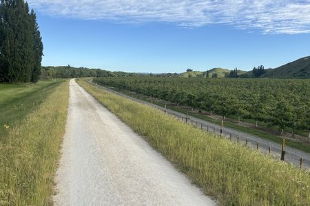 To the Puketapu Pub!