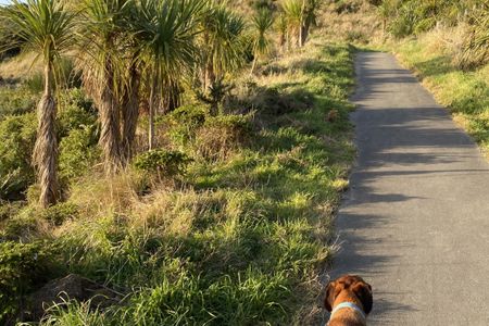 Tour of Newlands, Woodridge, Paparangi
