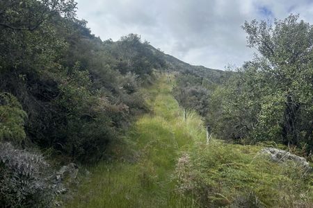 Trails and Tribulations