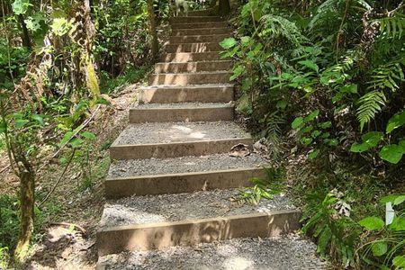 Waihi Beach Trig and Forest Loop