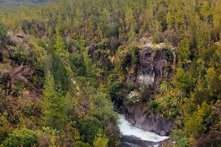 Waihāhā Hut Return