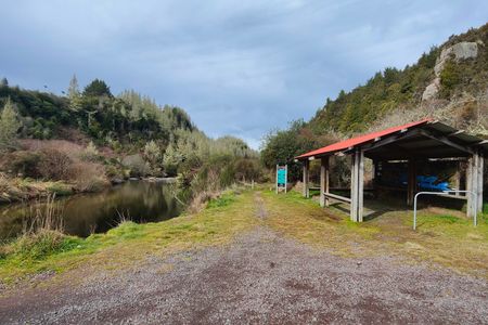 Waihaha Trail - Out & Back