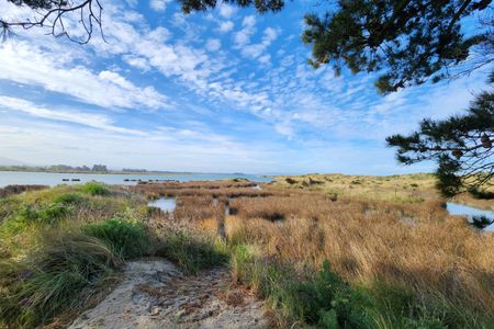 Waikuku Beach and Estuary Loop