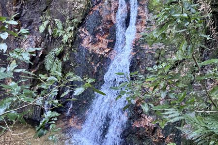 Waiorongomai Valley Adventures