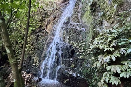 Waiorongomai Valley Adventures