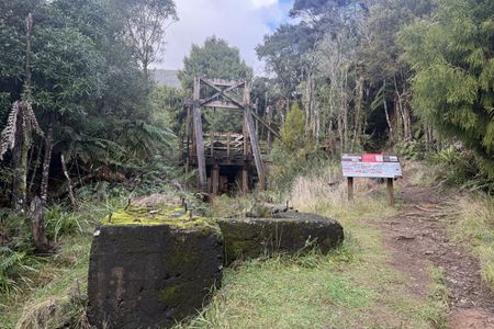 Waitawheta Tramway - Bogeys and Bluffs