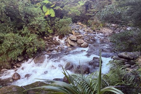 Waitawheta Tramway - Bogeys and Bluffs