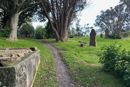 Wellington City to Sea & Southern Walkway Loop