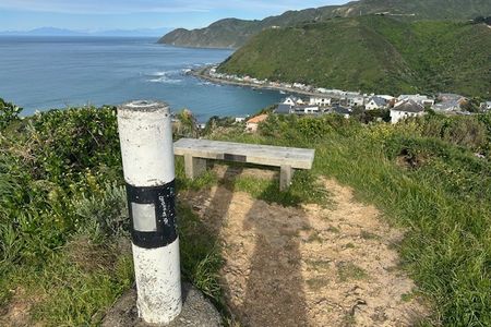 Wellington City to Sea & Southern Walkway Loop