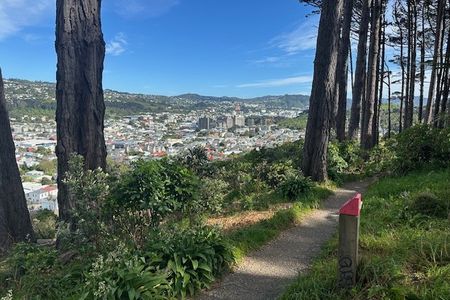 Wellington City to Sea & Southern Walkway Loop