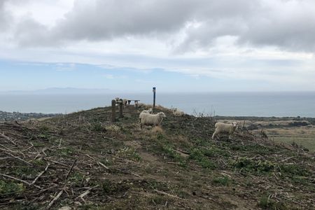 Western Hills brief trot