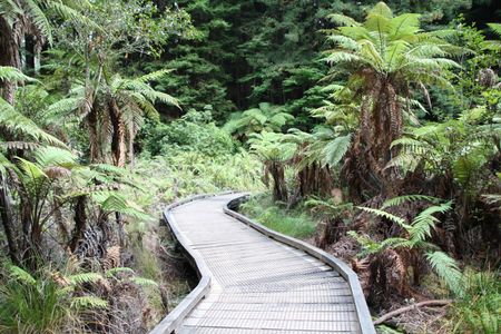 Pohaturoa Track