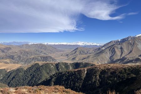 Woolshed, Bus Stop Loop